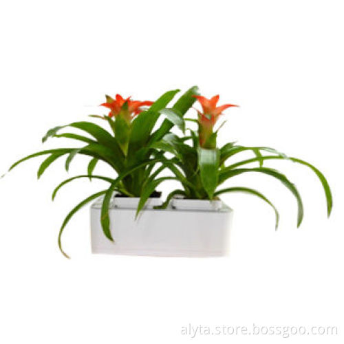 New Planting Techniques Smart Mini Garden Wall Planters for Decoration
